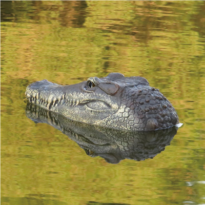 Alligator Head Remote Control Boat, rechargeable.