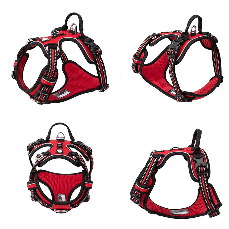 Reflective Nylon Dog Harness with Adjustable Leash for Walking & Running