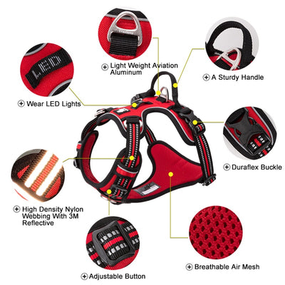 Reflective Nylon Dog Harness with Adjustable Leash for Walking & Running