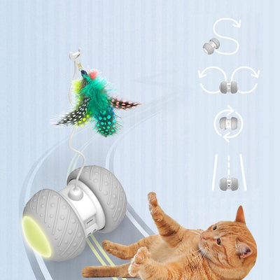 Interactive Robotic Teaser Cat Toy