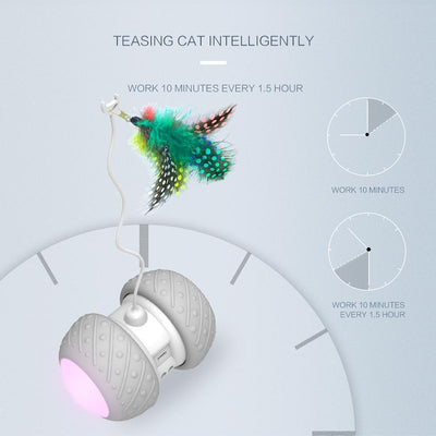 Interactive Robotic Teaser Cat Toy