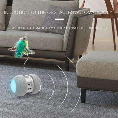 Interactive Robotic Teaser Cat Toy