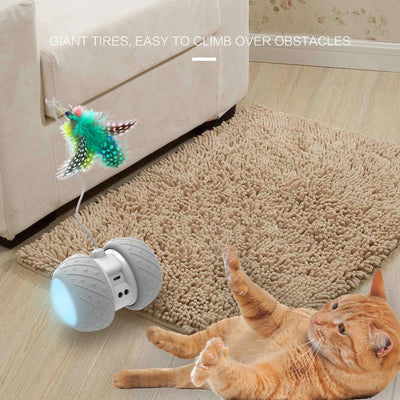 Interactive Robotic Teaser Cat Toy