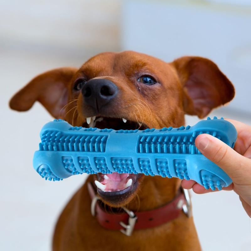Chewable Toothbrush (Bone Shape) for Dogs